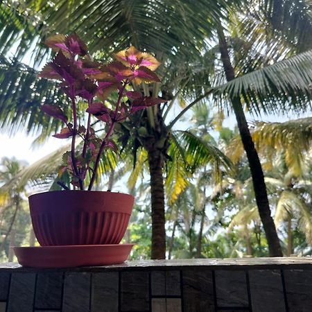 Kumbaya Beachside Hostel & Apartments At Arambol Beach Kültér fotó